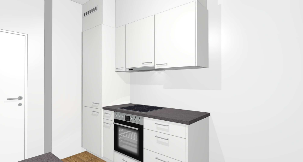 Appartement de 3 ½ pièces