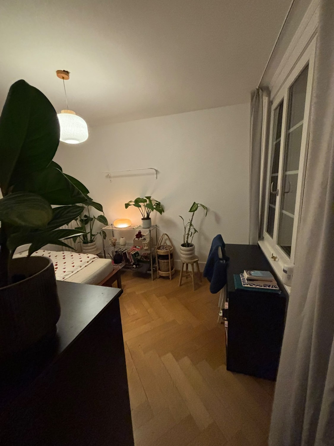 Room in a shared flat