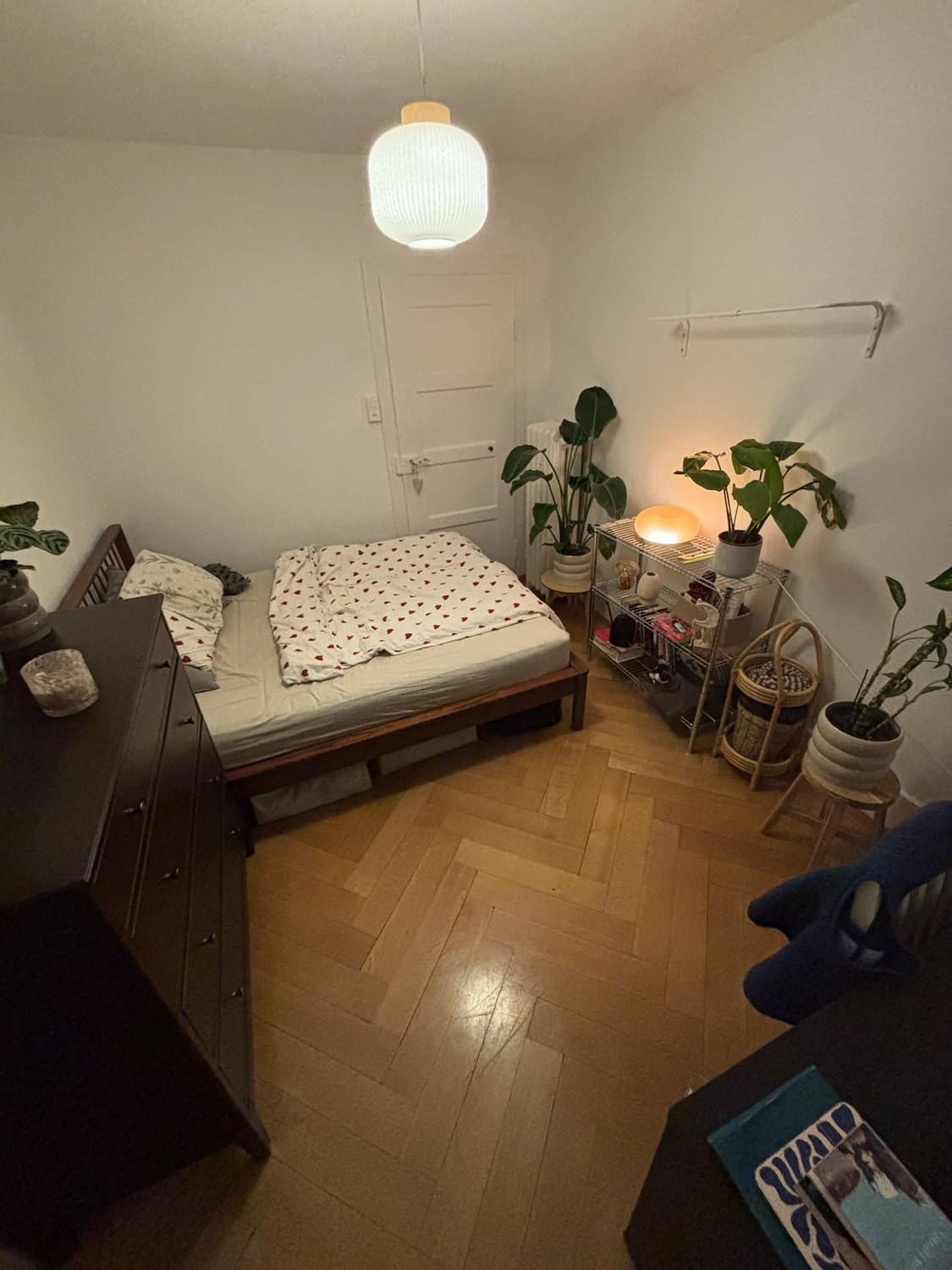 Room in a shared flat
