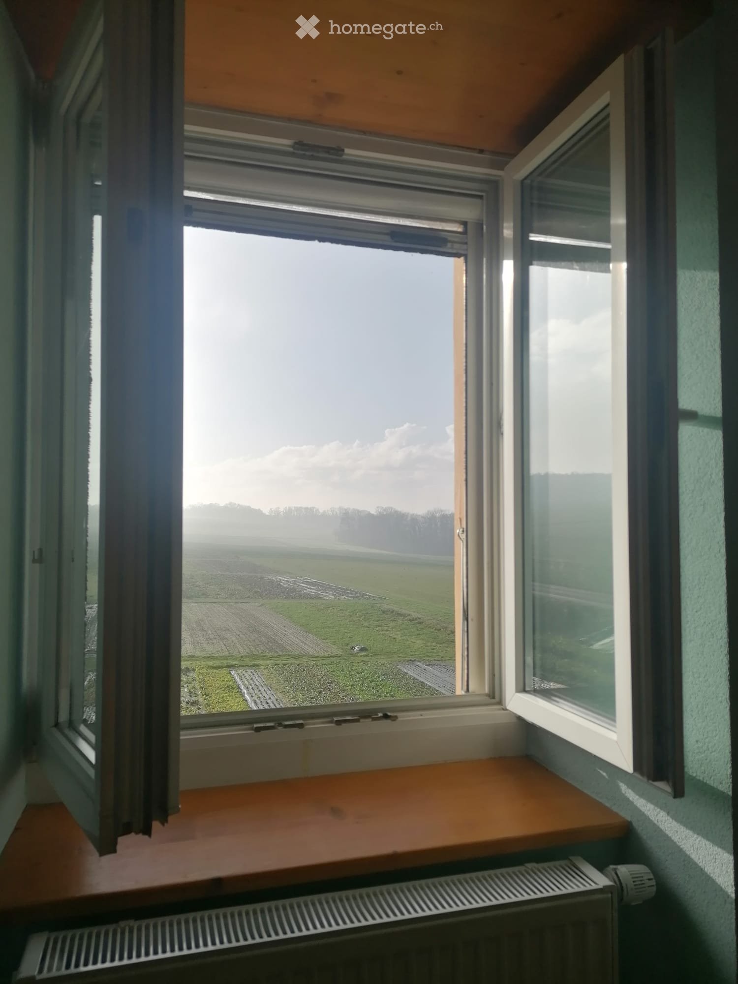 1 room single room (2)