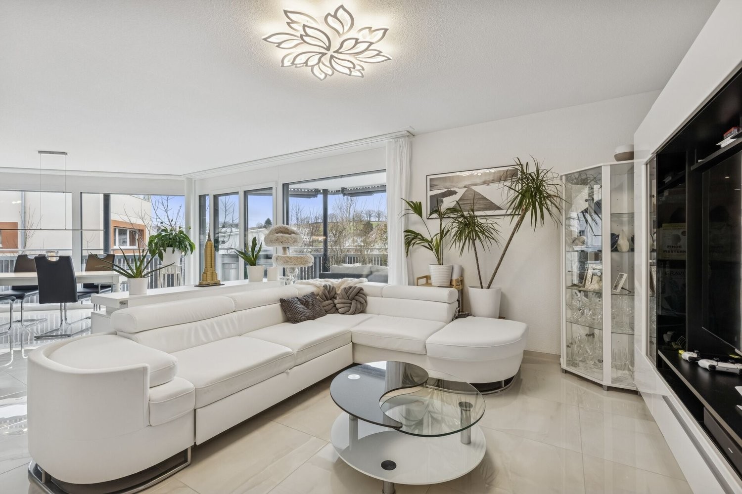 Appartement de 5 ½ pièces