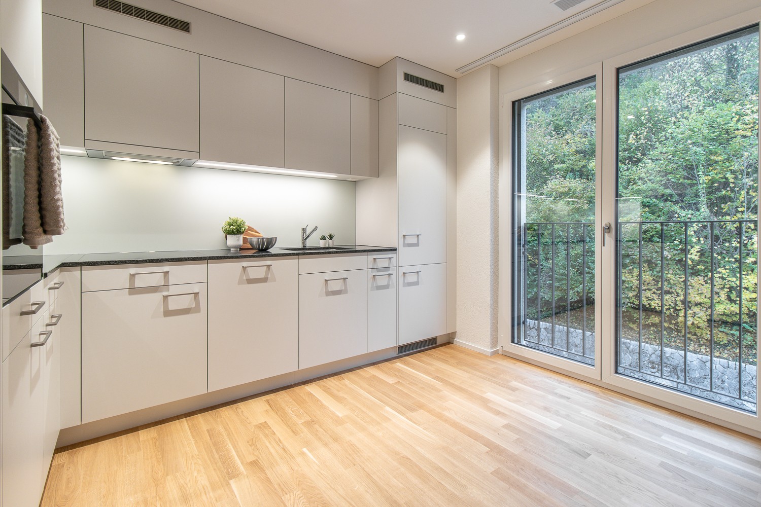 Appartement de 2 ½ pièces