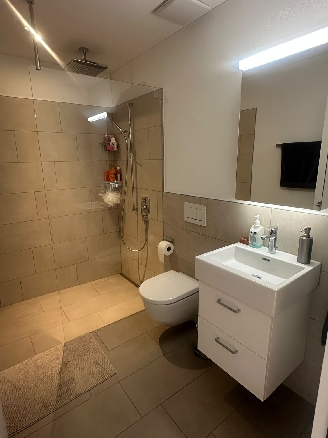 2 ½ rooms apartment