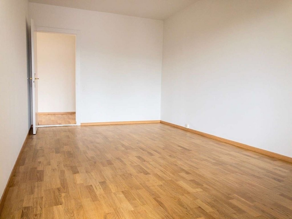 3 ½ rooms apartment (5)