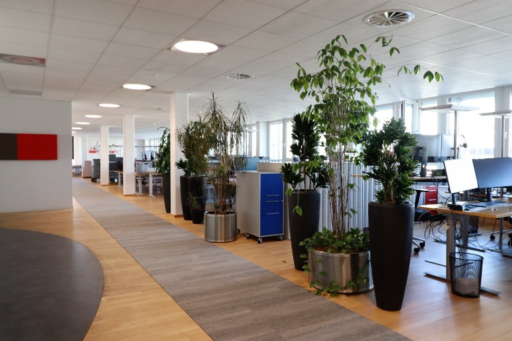 707m² ufficio