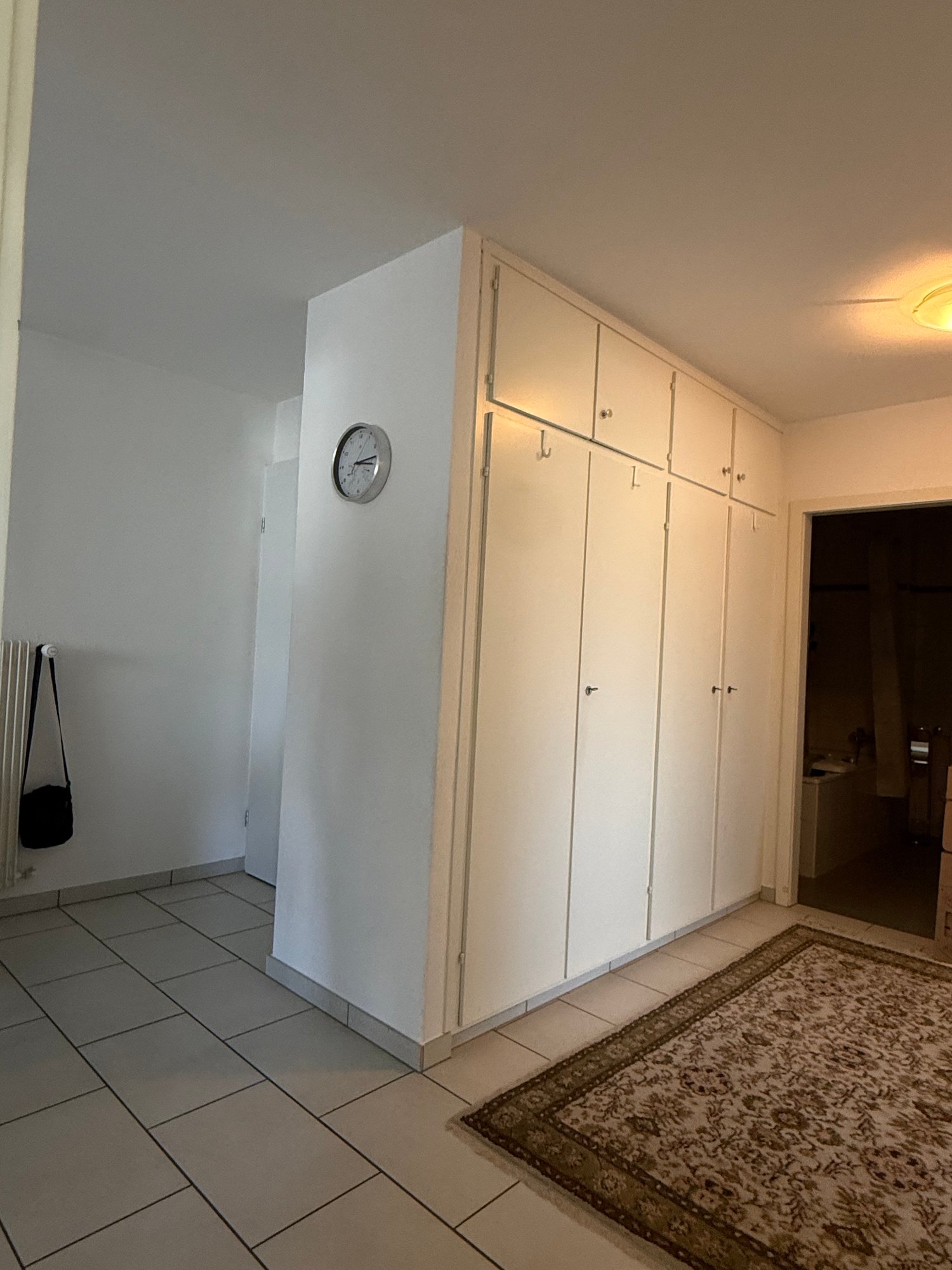 Appartamento di 3 ½ locali