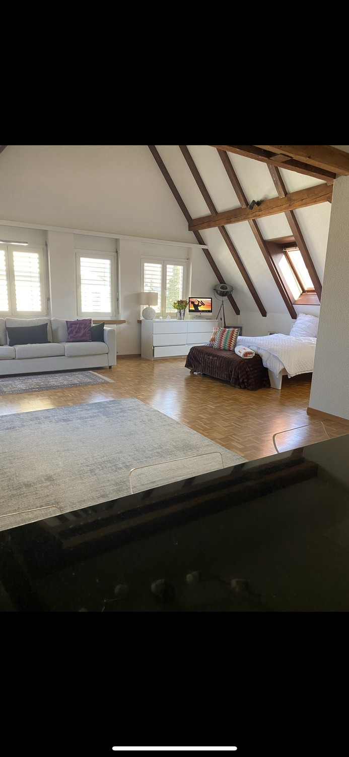 Appartement 1 ½ pièces
