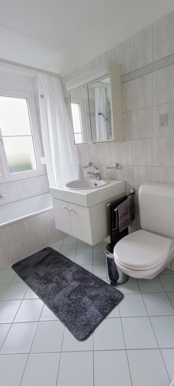 3 ½ rooms furnished flat