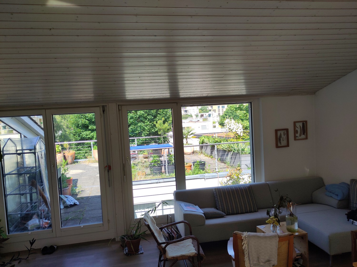 Room in a shared flat