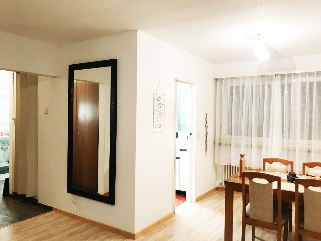 Appartamento arredato di 3 ½ locali
