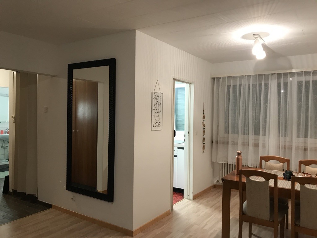 Appartamento arredato di 3 ½ locali