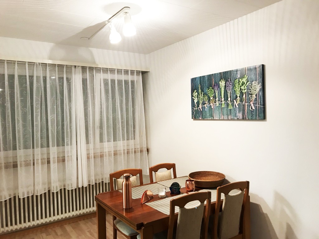 Appartamento arredato di 3 ½ locali