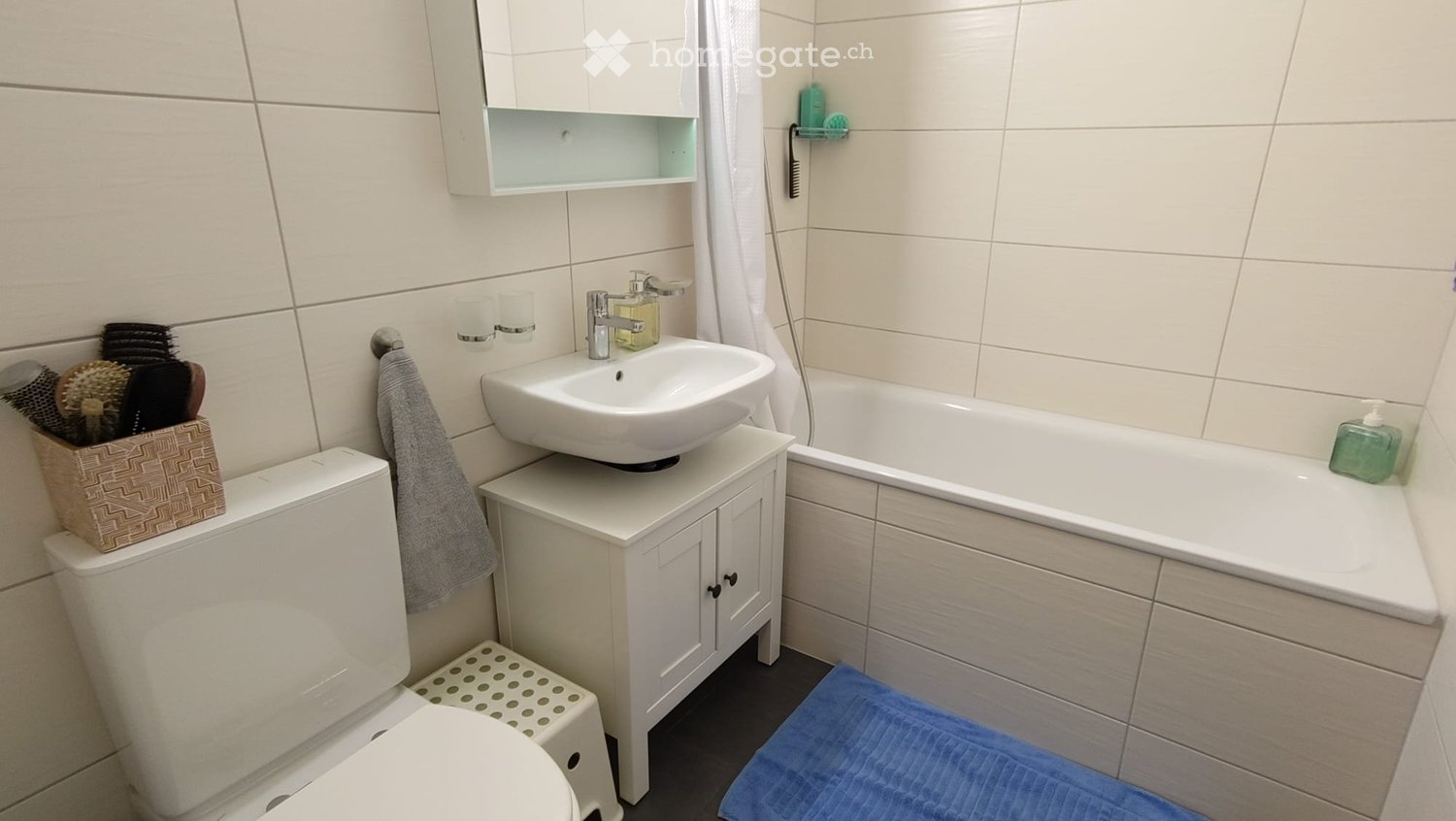 3 ½ Zimmer Wohnung