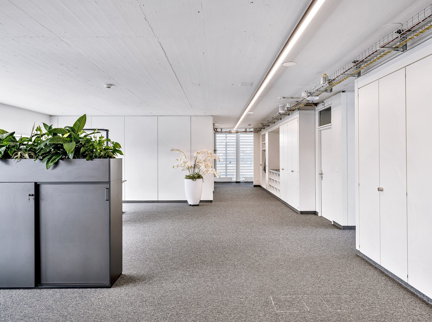 328m² office