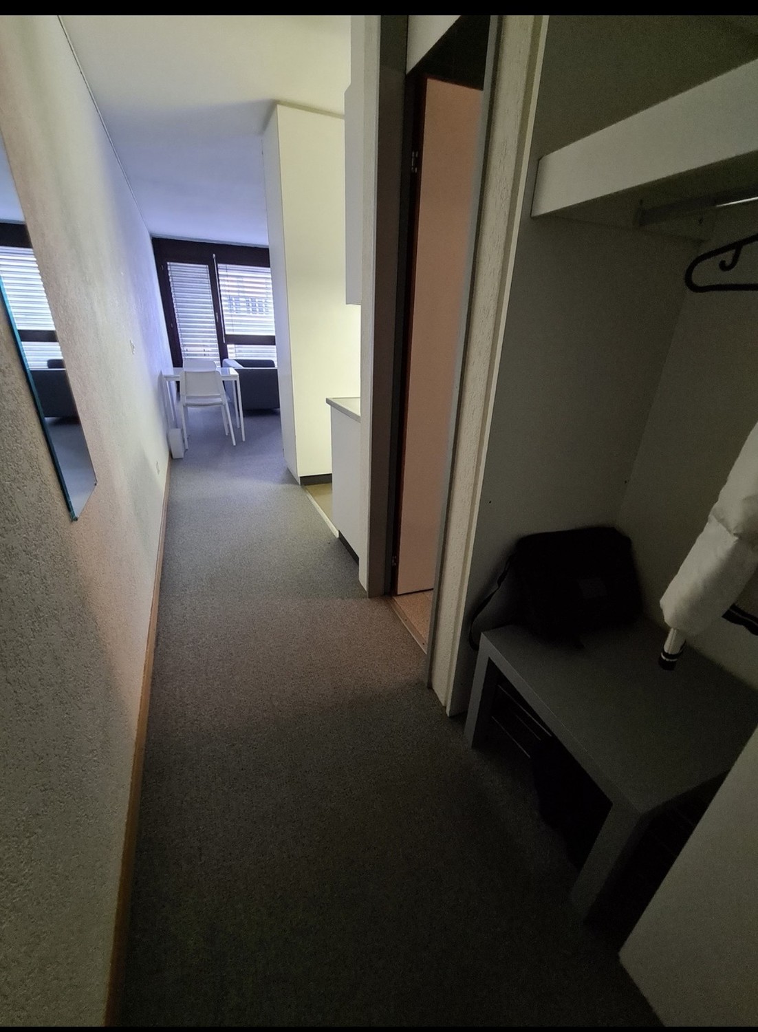 1 room apartment, photo 3 of 3