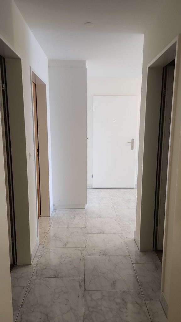Appartement de 3 ½ pièces