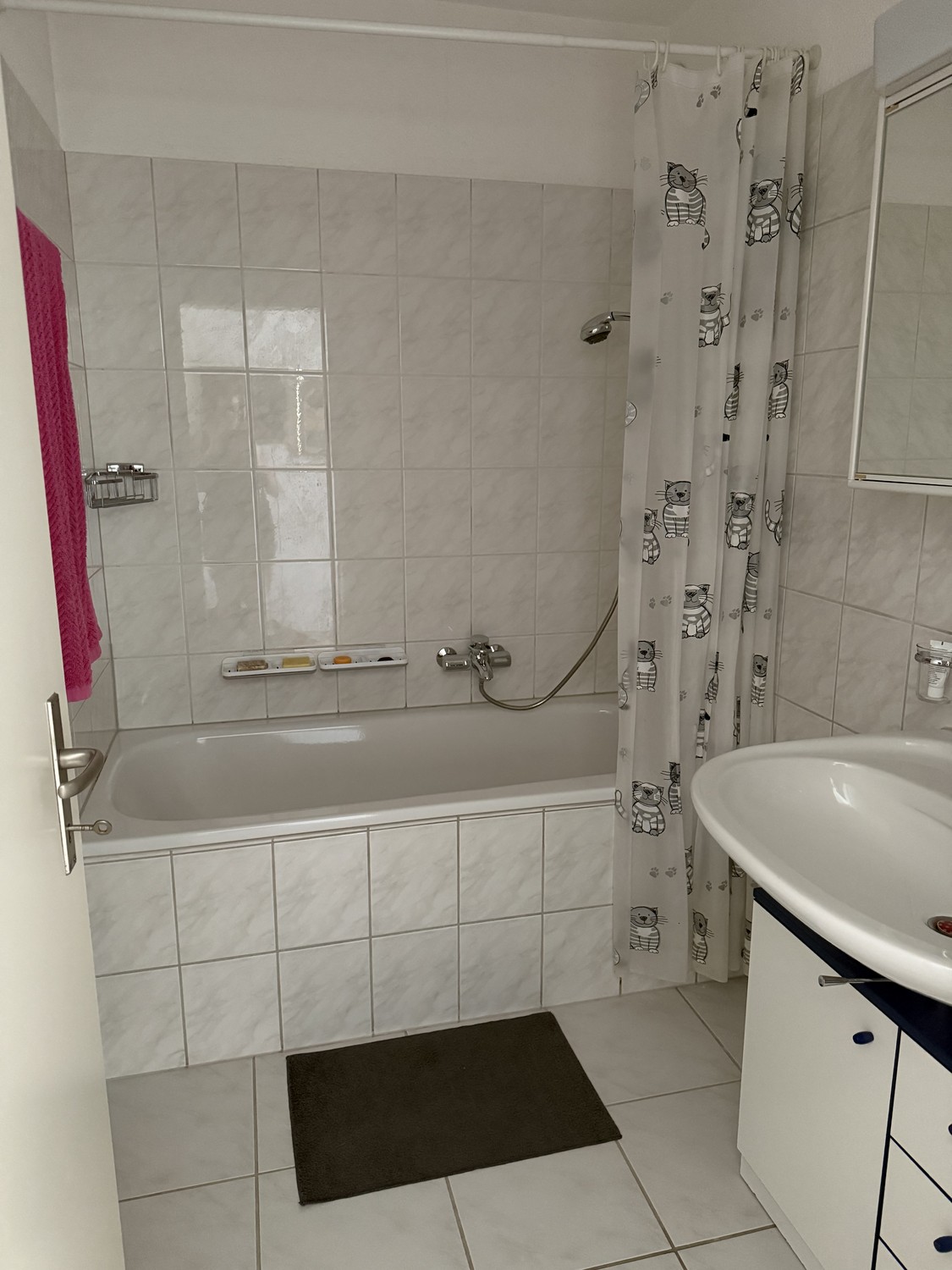 Appartamento di 3 ½ locali