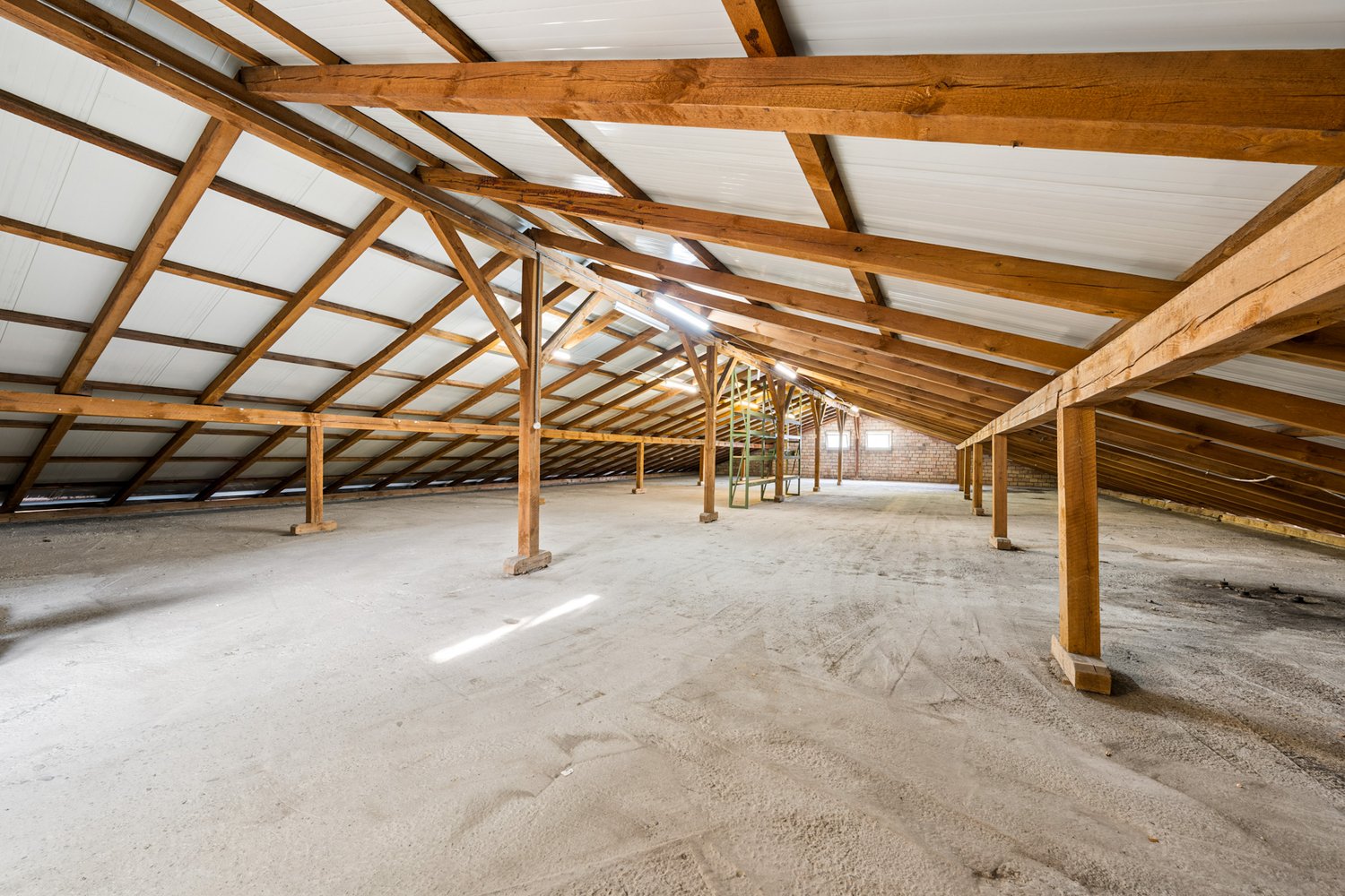3890m² commercial