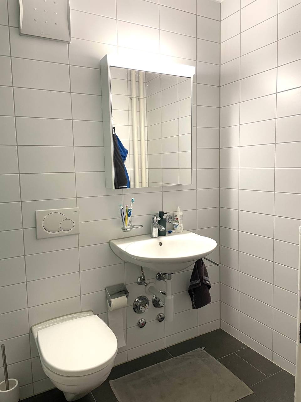 2 ½ rooms apartment, photo 4 of 7