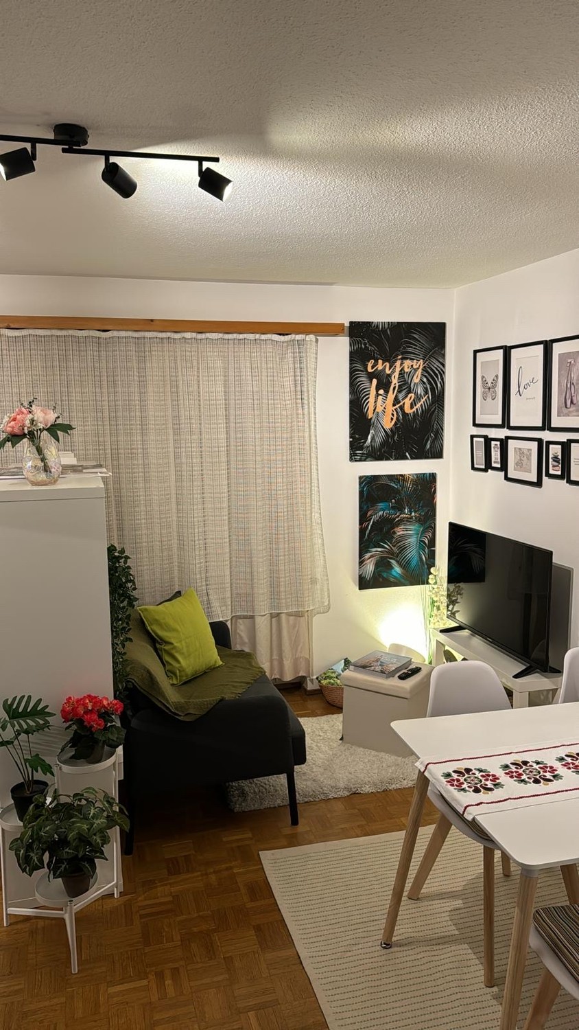 1 room apartment, photo 2 of 4