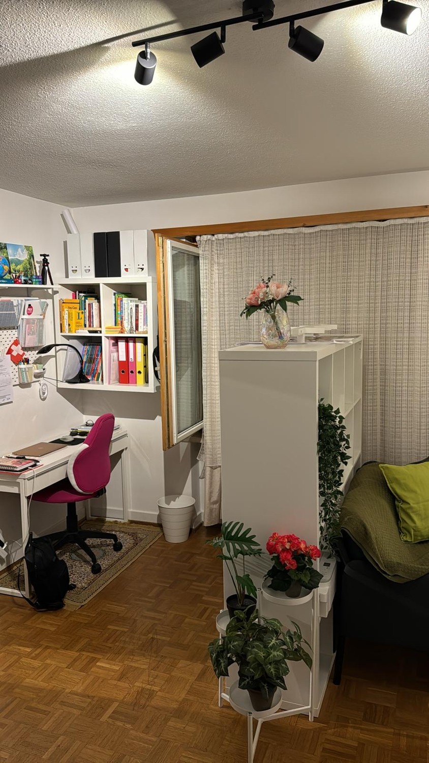 1 room apartment, photo 4 of 4