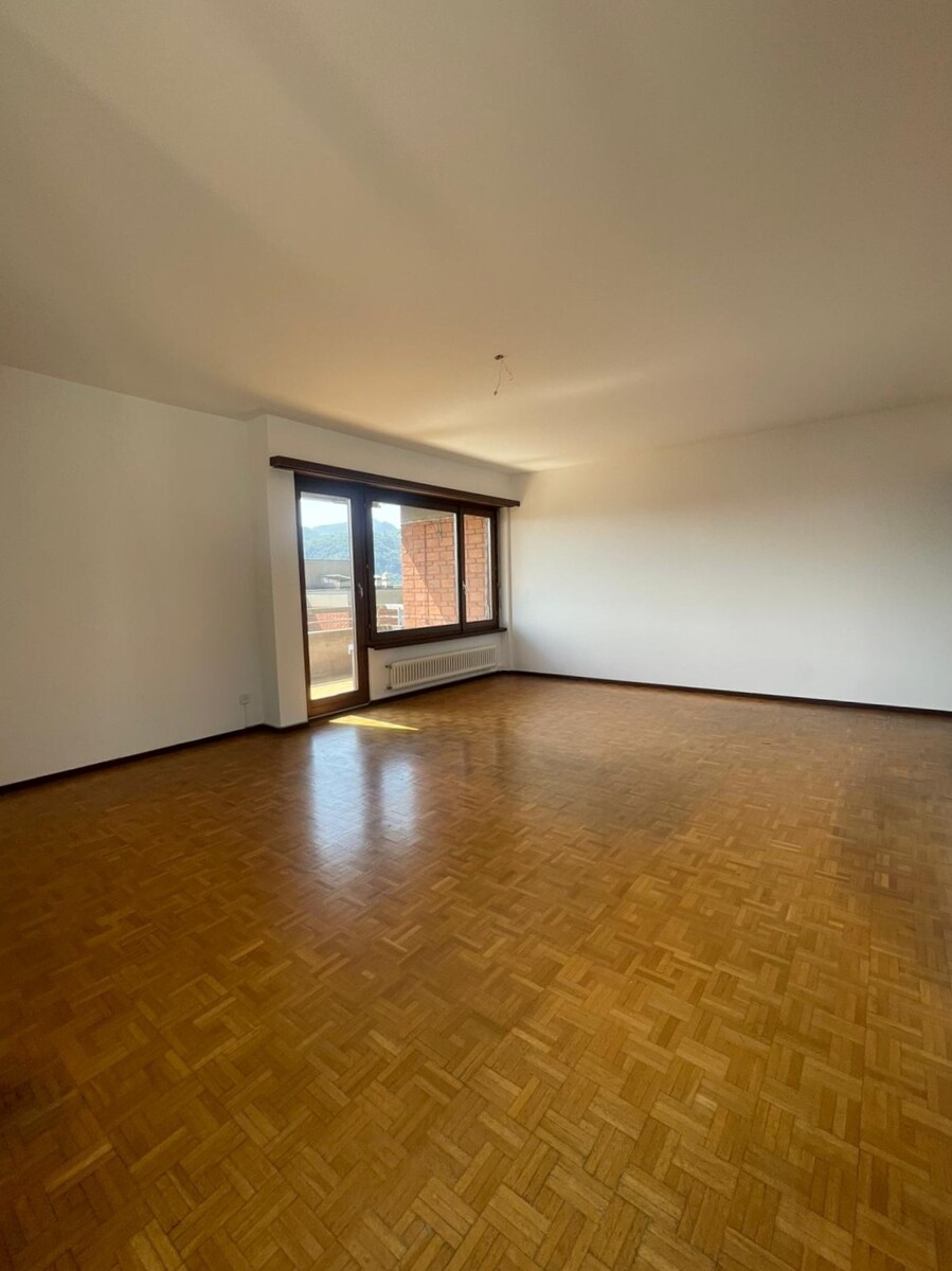 3 ½ Zimmer-Wohnung