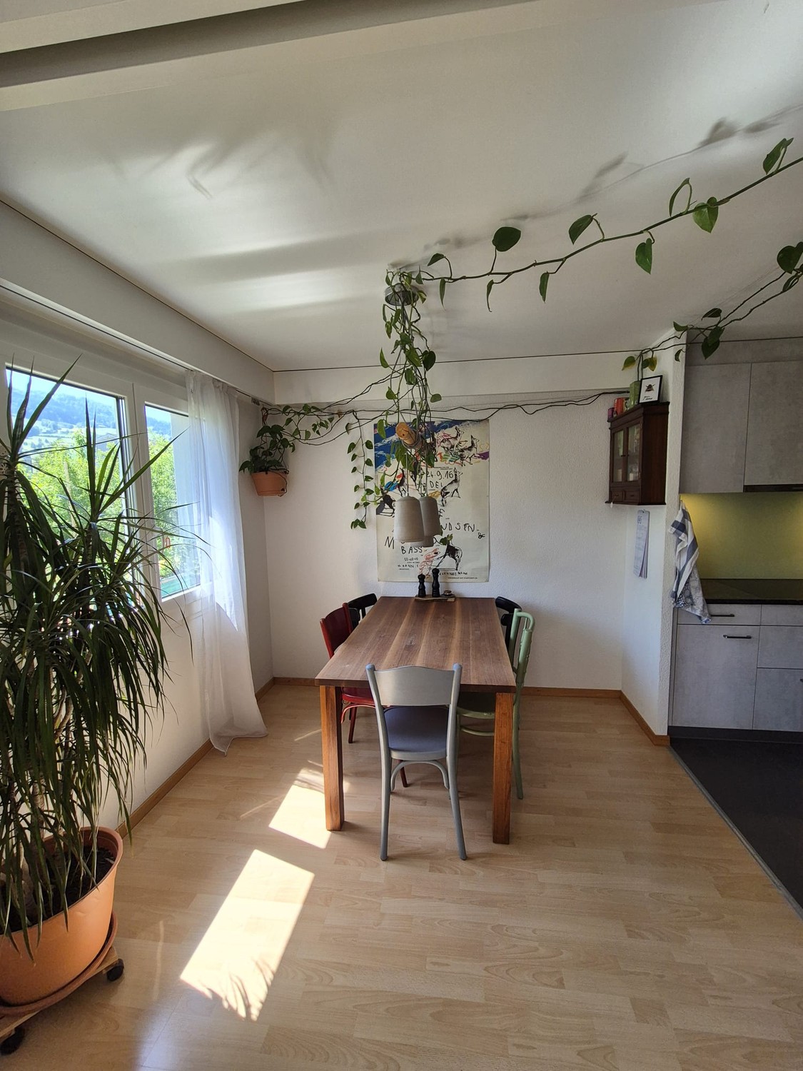 Appartamento di 3 ½ locali, foto 3 di 8