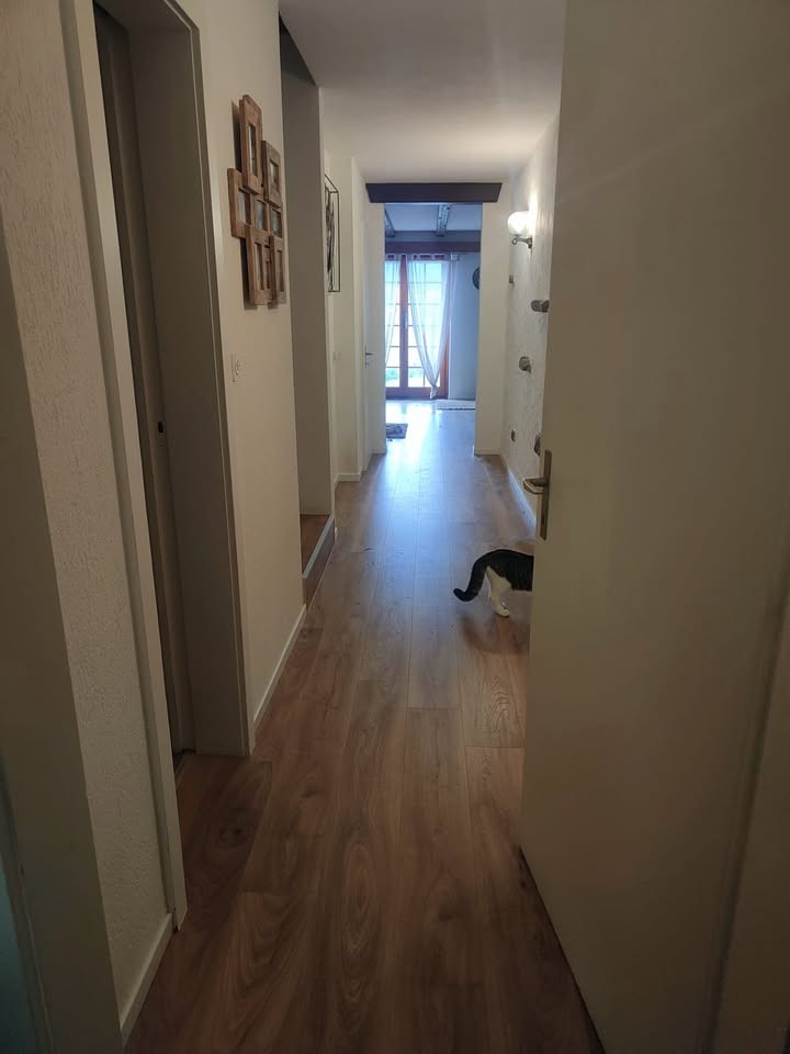 6 ½ rooms apartment