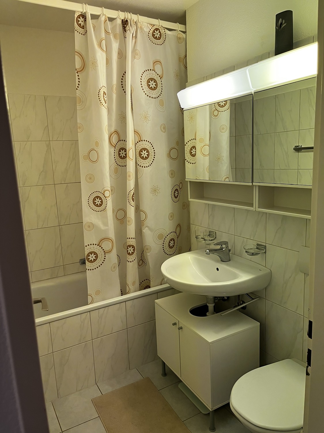 Appartement de 3 ½ pièces