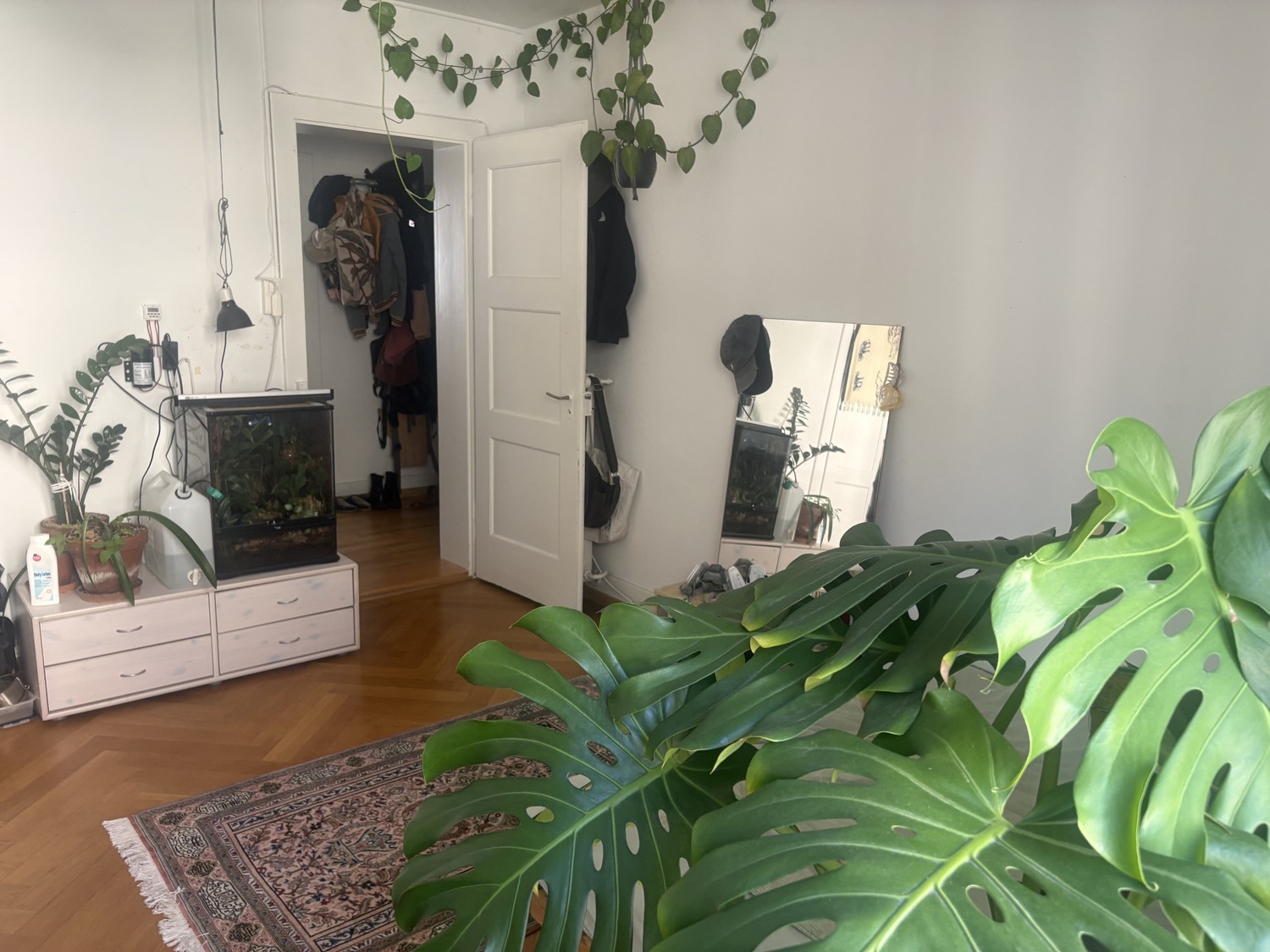 Room in a shared flat, photo 8 of 9