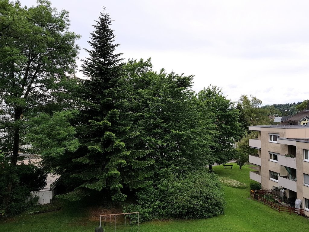 4 rooms apartment, photo 9 of 9