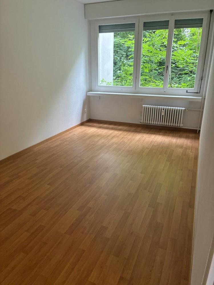 3 ½ rooms apartment (6)