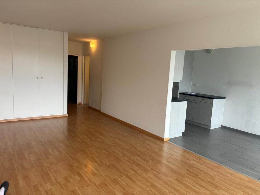 3 ½ rooms apartment (4)