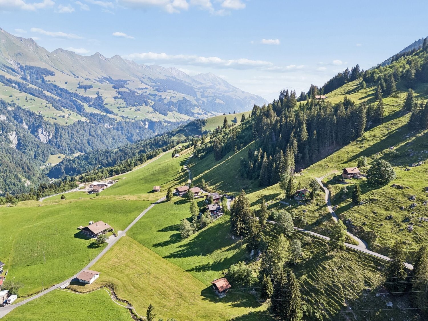 3768m² building land, photo 6 of 7