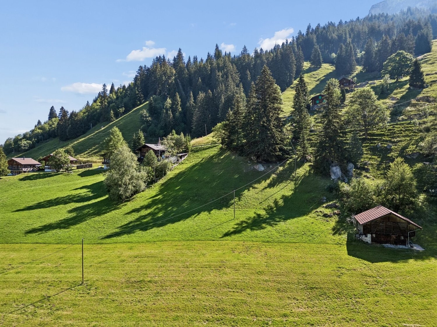 3768m² building land, photo 3 of 7