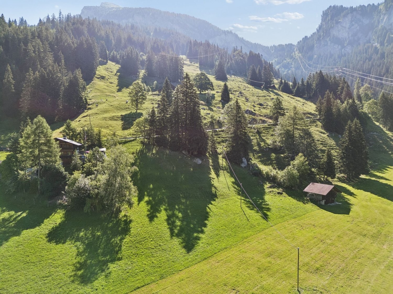 3768m² building land, photo 7 of 7