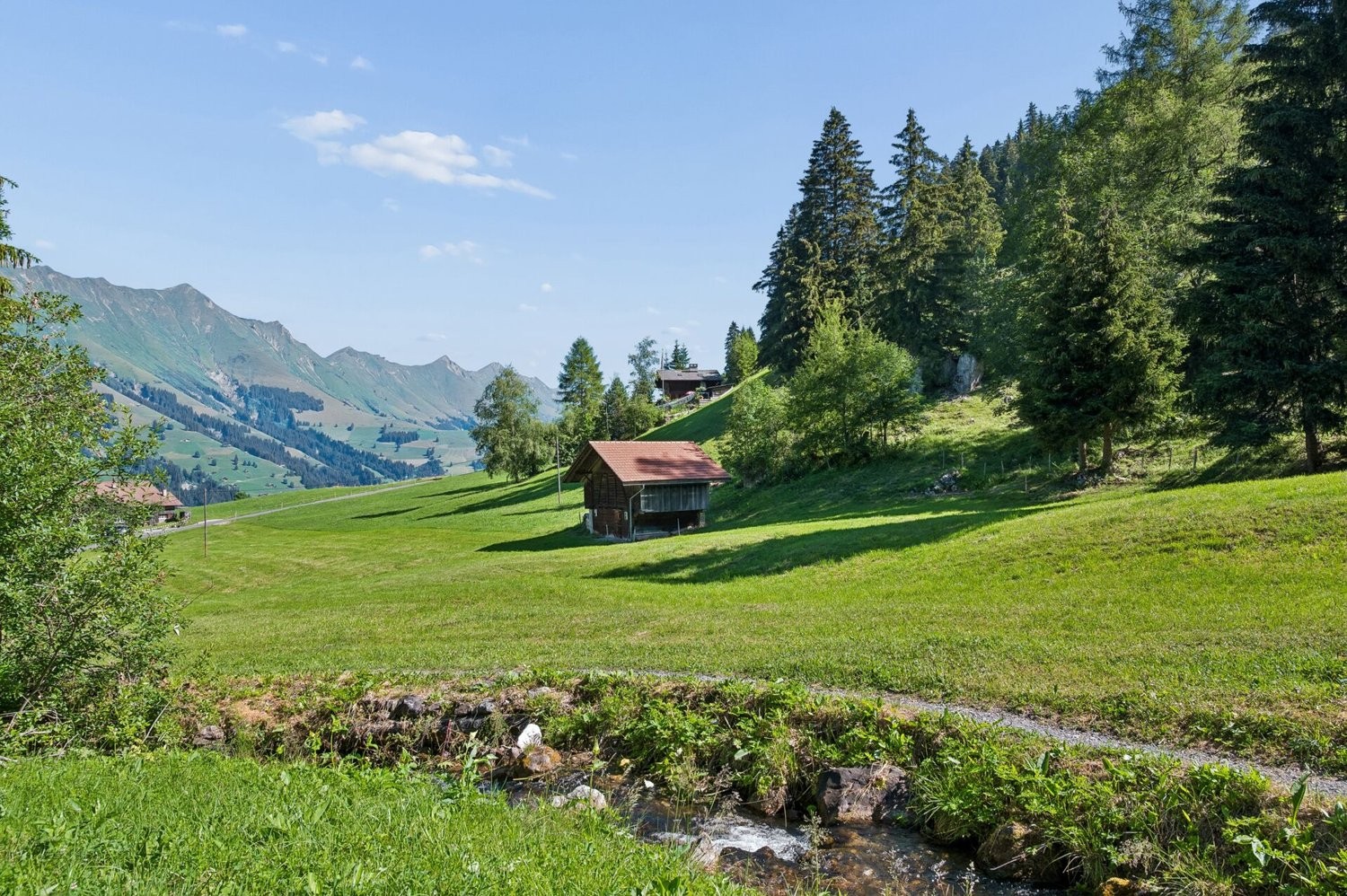 3768m² building land, photo 2 of 7