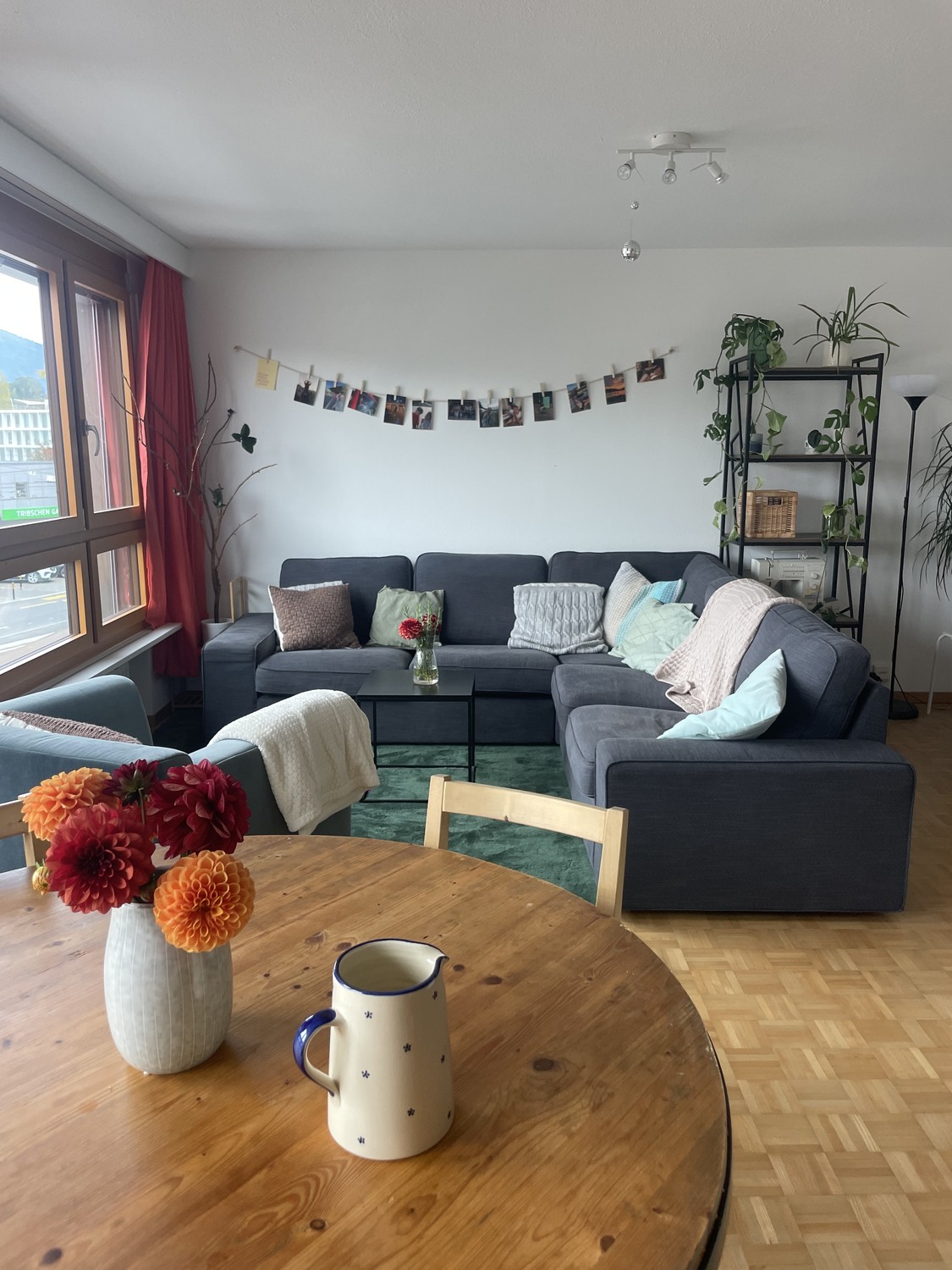 Room in a shared flat