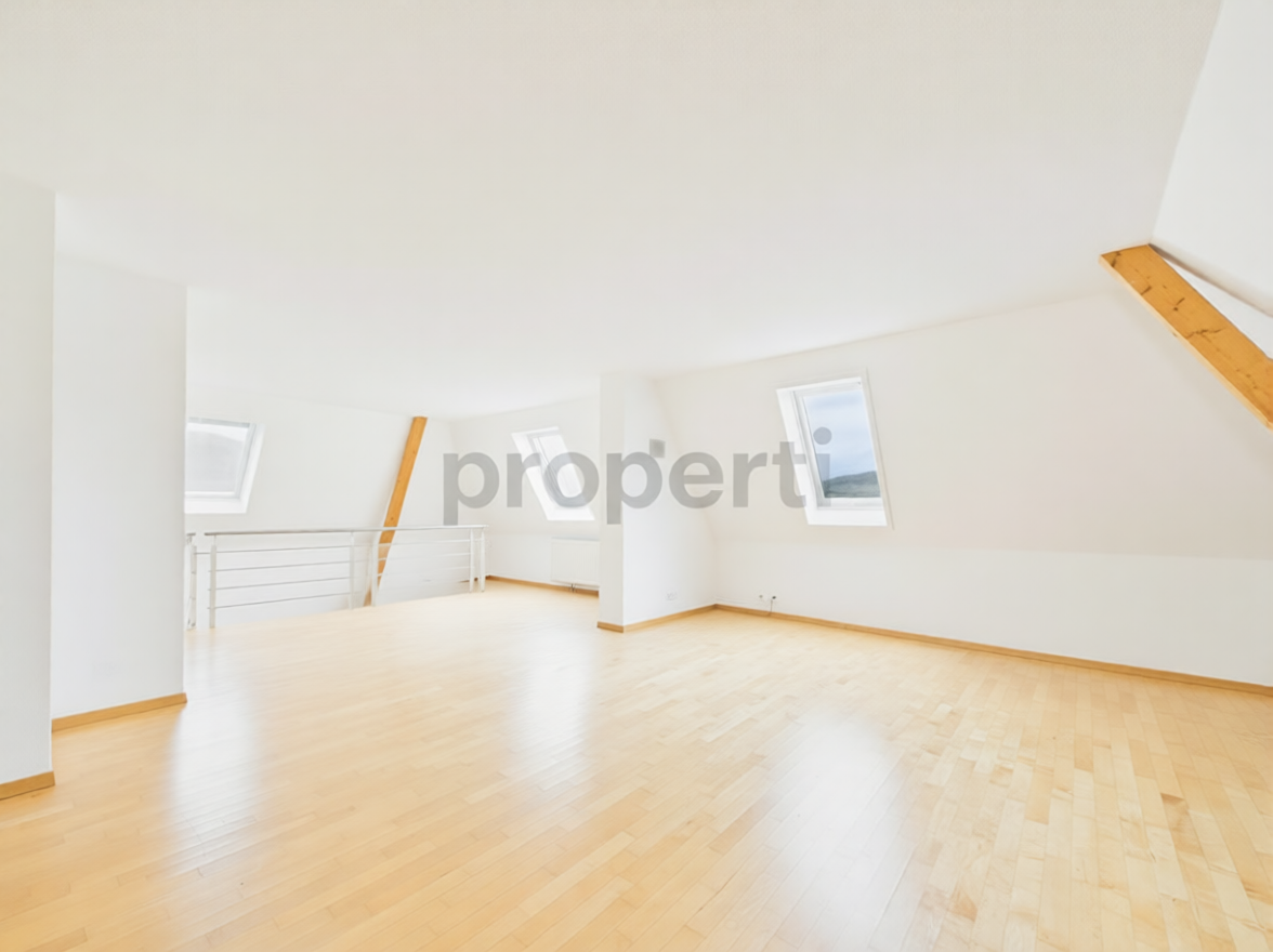 2 ½ rooms duplex