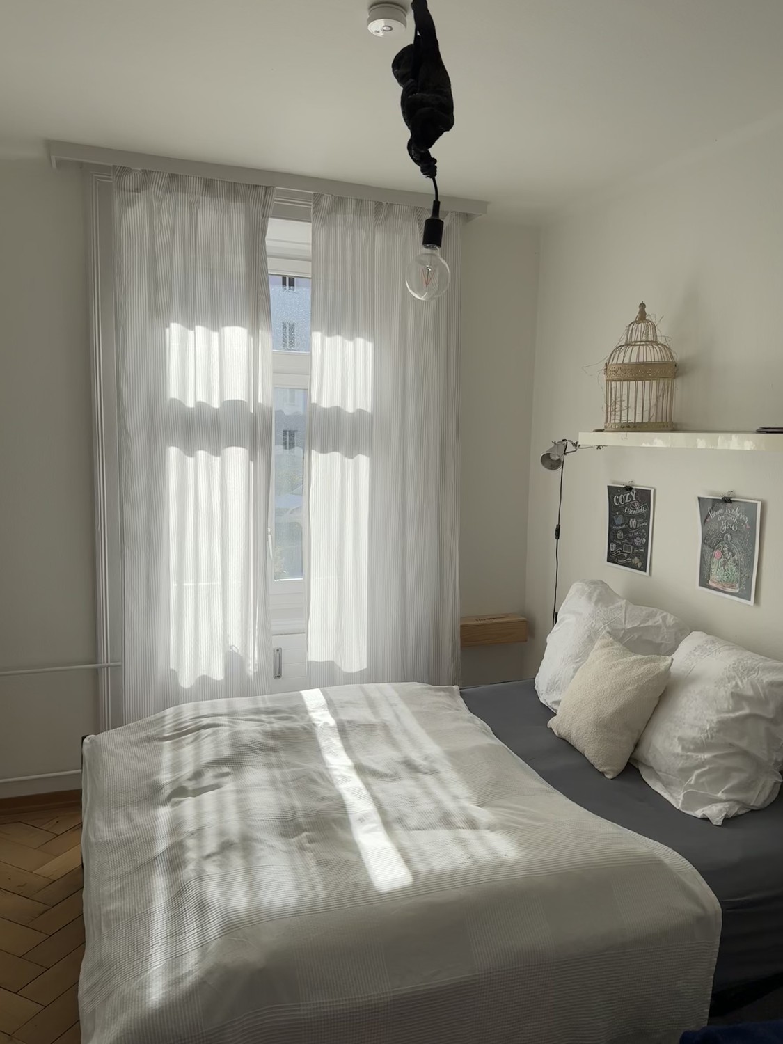 appartement 1 pièce