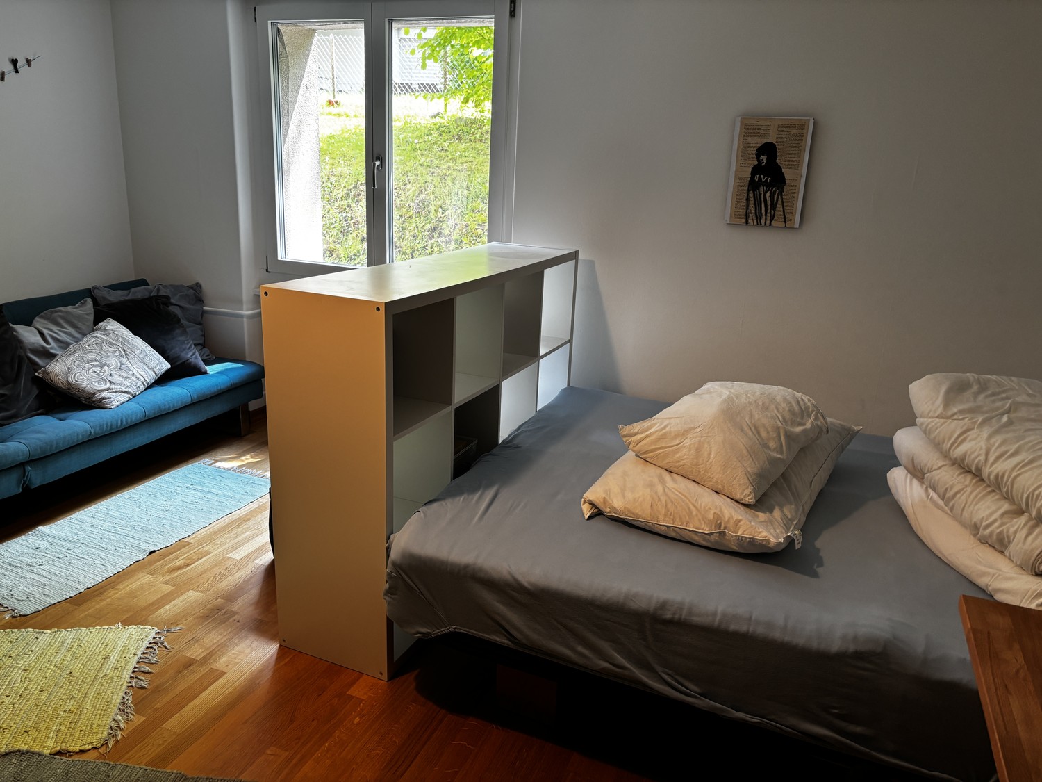Room in a shared flat