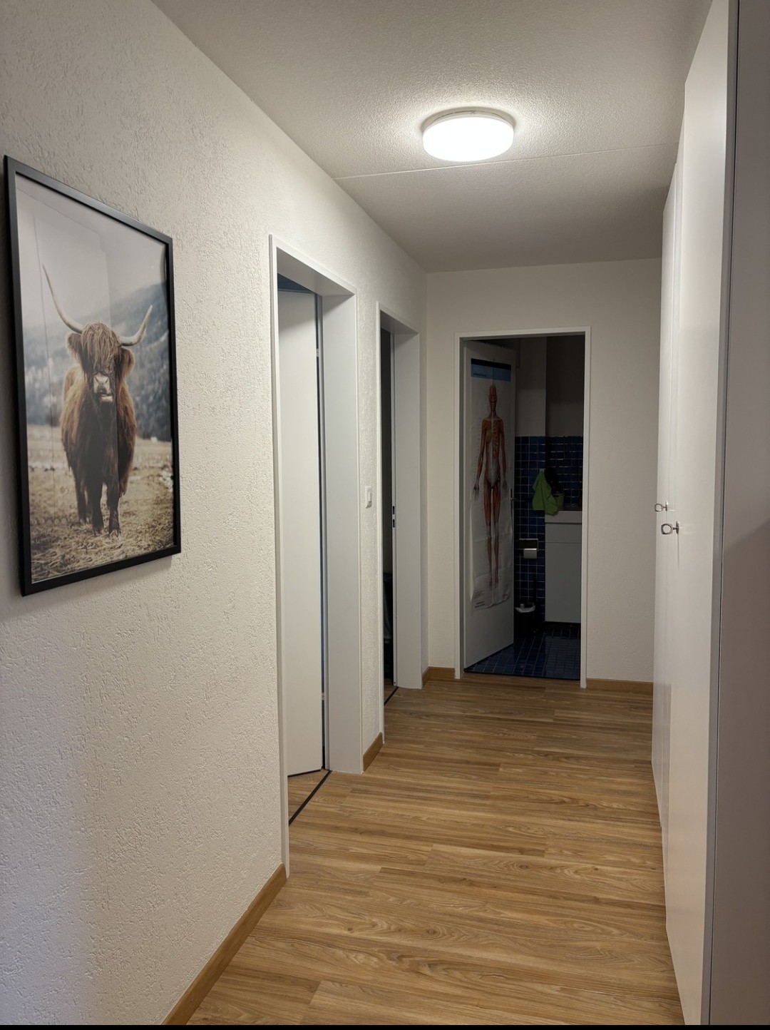Room in a shared flat, photo 5 of 6