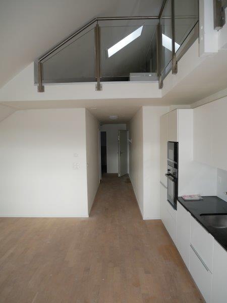 duplex 1 ½ pièces