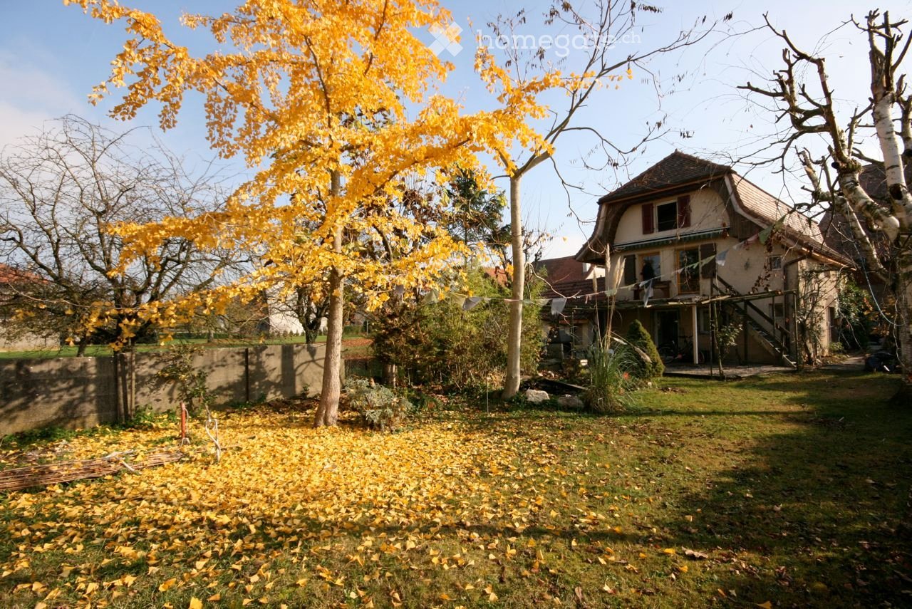 5 ½ pièces maison individuelle