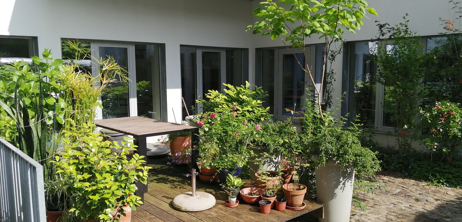 255m² commercial, photo 6 of 7