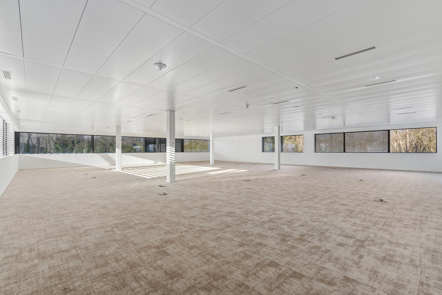 Office, photo 2 of 6