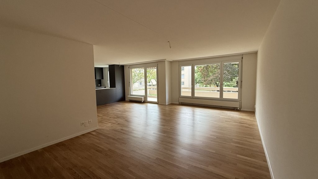 5 ½ rooms apartment