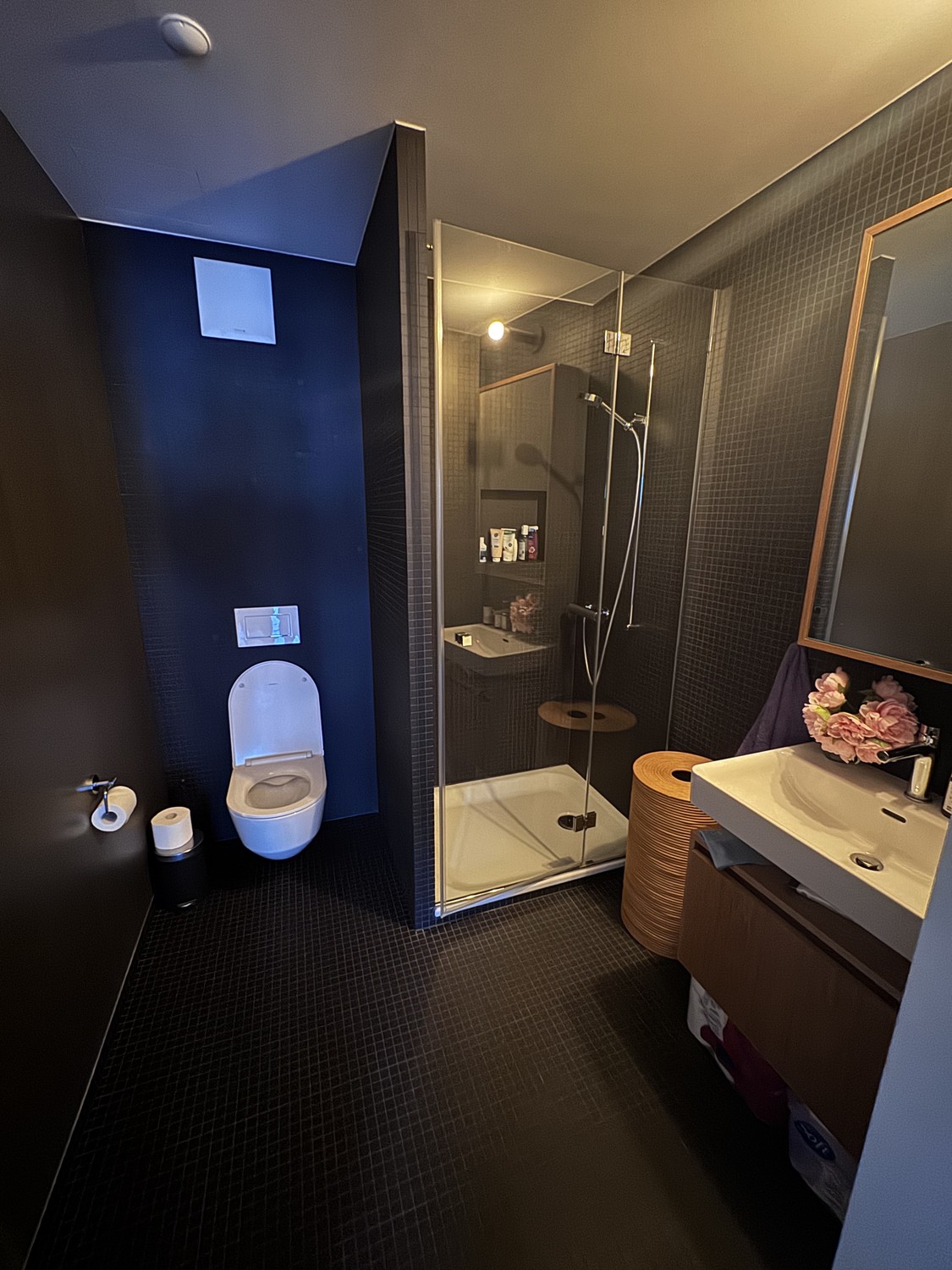 3 ½ rooms apartment, photo 5 of 6