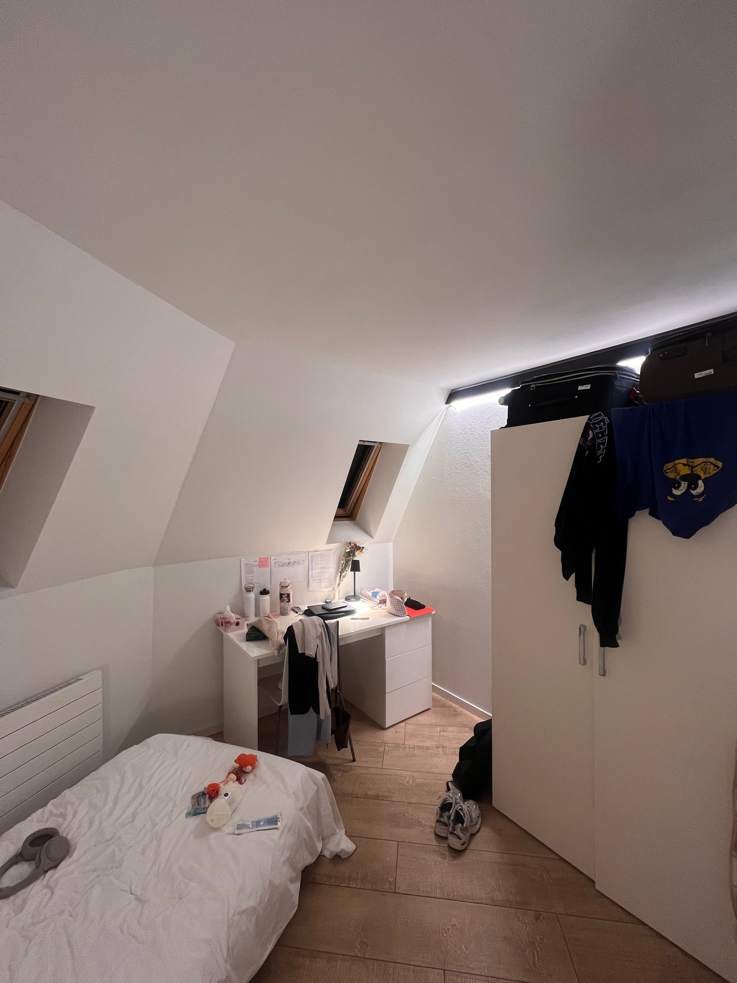 Room in a shared flat