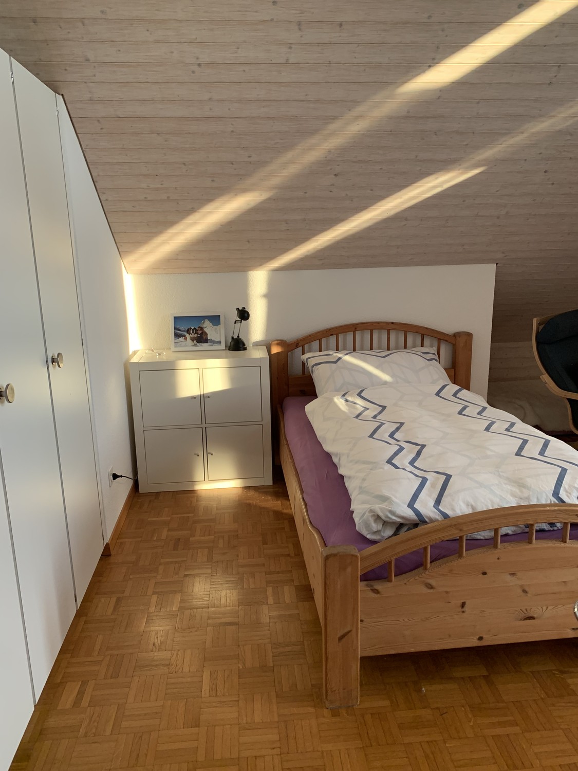 Room in a shared flat